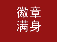 徽章满身 Badge Wall 挂在回帖楼顶上，土得恰到好处，聊给老油条